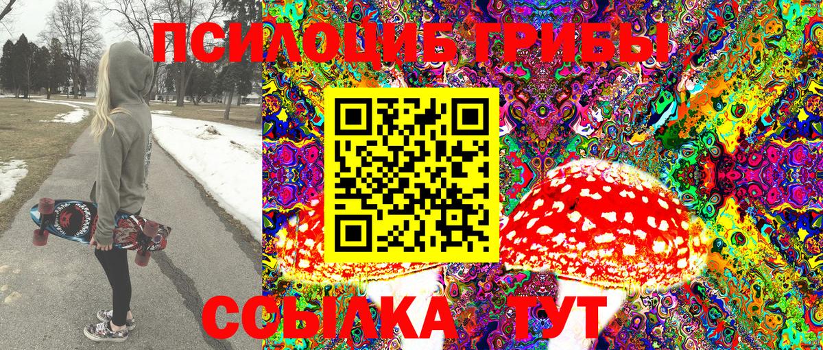 Псилоцибиновые грибы Psilocybine cubensis  Вход с VPN  Ногинск 